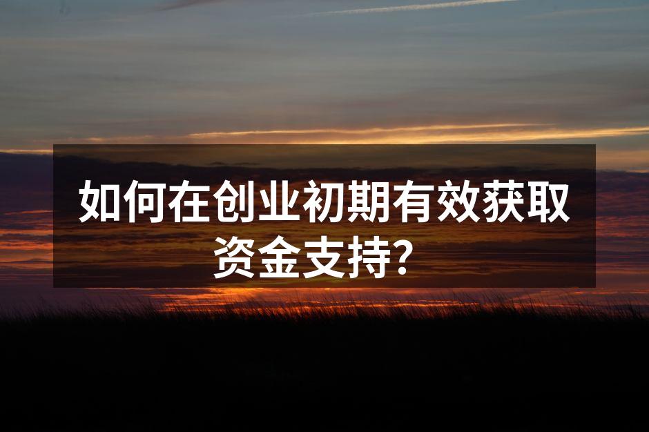 如何在创业初期有效获取资金支持？
