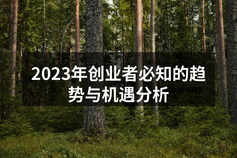 2023年创业者必知的趋势与机遇分析